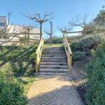 Escaleras de madera en parque